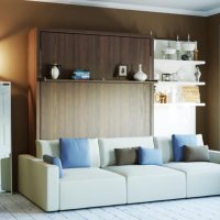 Шкаф-кровать двуспальная с диваном  40