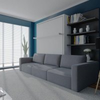 Шкаф-кровать подростковая с диваном  42