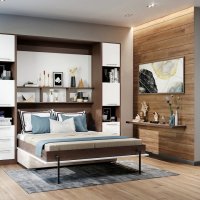 Шкаф диван кровать 3 в 1 с полками