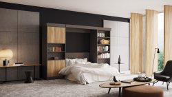 Шкаф-кровать с диваном  46